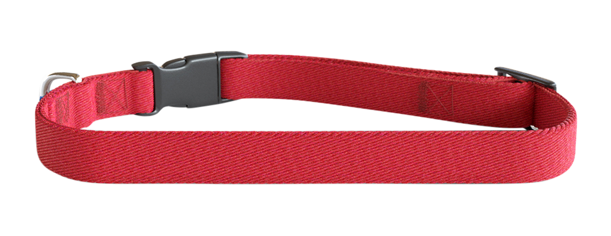 Geborduurde Hondenhalsband Blauwe geborduurde hondenhalsband, 30-46 cm, lichtgewicht nylon, personaliseerbaar met naam en details.