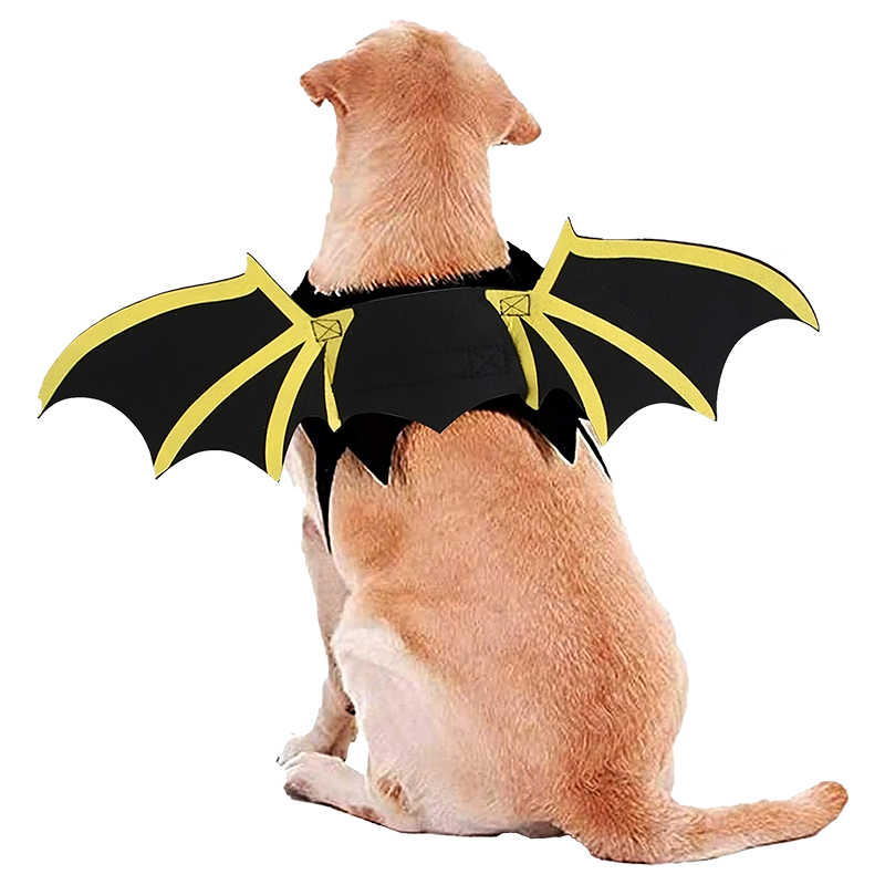 Hond Vleermuiskostuum voor Halloween