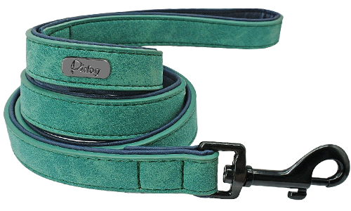 Groene luxe fluwelen hondenriem, 120 cm, makkelijk vast te houden, zwarte metalen haak, voor comfortabele wandelingen.