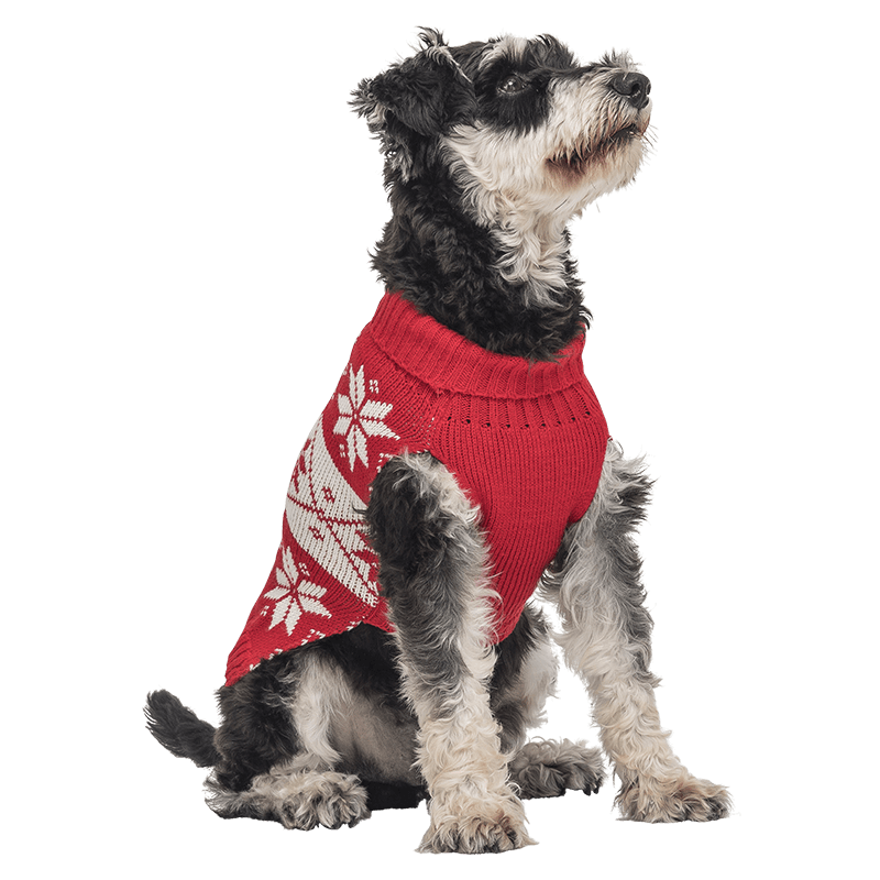 Bedrukte Wintertrui Voor Honden Rode wintertrui voor honden met wit sneeuwvlokpatroon, wasbaar, biedt warmte en feestelijke stijl.