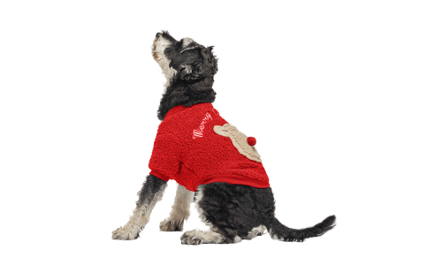 Rode kerstjas voor honden met knopen en fluffy berenontwerp op de rug, wasbaar, voor winter en herfst.