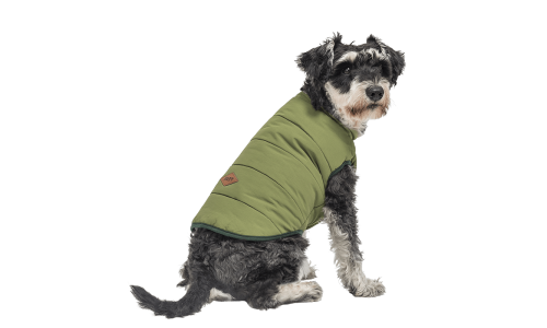 Groene winddichte honden wintervest, comfortabele pasvorm, ontworpen voor warmte en bescherming in koud weer.