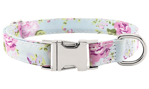 Hondenhalsband met Gesp Pastel bloemenpatroon hondenhalsband met verstelbare metalen gesp, 40-63cm lang, 2cm breed, met D-ring voor riem.