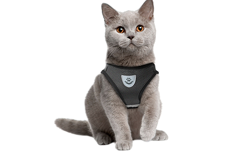 Zwarte reflecterende kattenharnas met bijpassende riem, praktisch, ademend mesh stof en 120 cm lange riem.