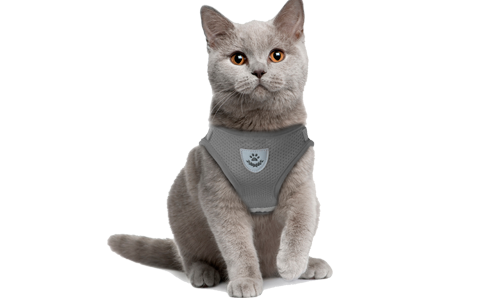 Grijze reflecterende kattenharnas met bijpassende riem, praktisch, ademend mesh stof en 120 cm lange riem.