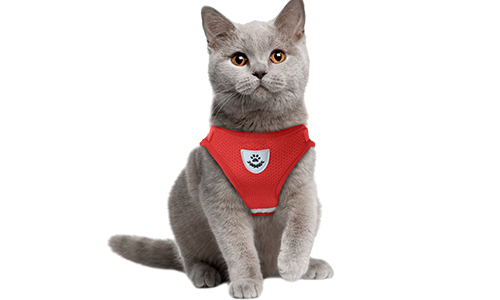 Reflecterend Kattenharnasvest met Bijpassende Riem Rode reflecterende kattenharnas met bijpassende riem, praktisch, ademend mesh stof en 120 cm lange riem.