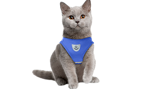 Blauwe reflecterende kattenharnas met bijpassende riem, praktisch, ademend mesh stof en 120 cm lange riem.