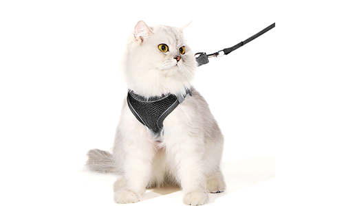 Zwarte reflecterende kattenharnas met bijpassende riem, verstelbaar, lichtgewicht, 140cm riem, voor comfort en zichtbaarheid.