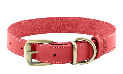 Luxe rode leren hondenhalsband met gouden verstelbare gesp, duurzaam en sterk, D-ring voor riem.