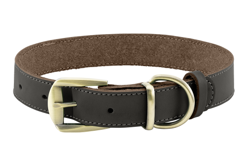 Luxe bruine leren hondenhalsband met gouden verstelbare gesp, duurzaam en sterk, D-ring voor riem.