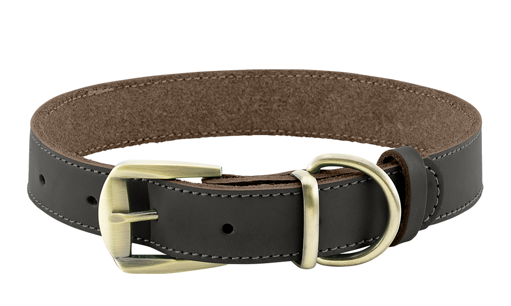 Luxe Hondenhalsband van Echt Leer Luxe bruine leren hondenhalsband met gouden verstelbare gesp, duurzaam en sterk, D-ring voor riem.
