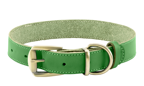 Luxe groene leren hondenhalsband met gouden verstelbare gesp, duurzaam en sterk, D-ring voor riem.