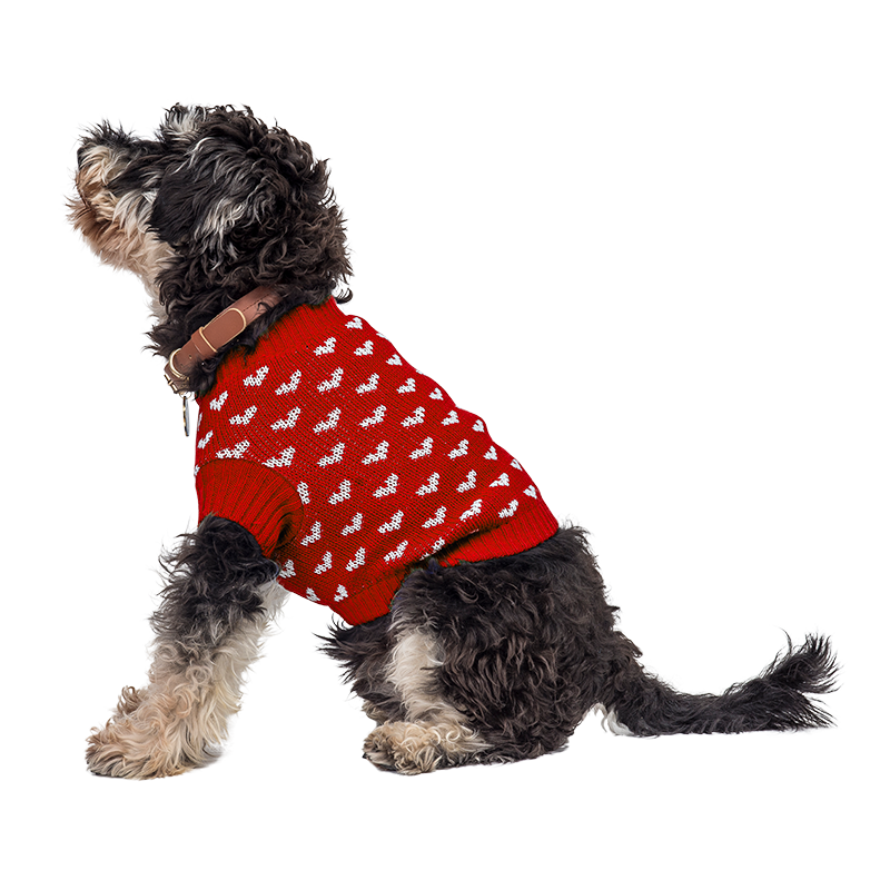 Bedrukte Harten Trui voor Honden en Katten Hond draagt een gezellige rode trui met witte hartpatronen, perfect voor warmte en stijl in koudere seizoenen.