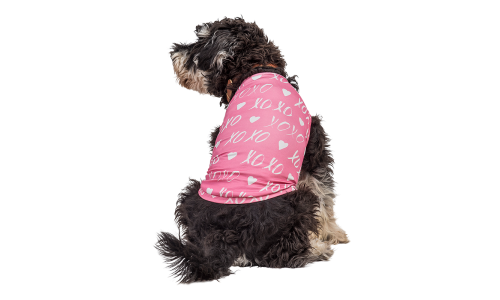Hond draagt een roze Valentijnsdag-vest met wit hart en 'XOXO', ontworpen als een feestelijke en stijlvolle hondenoutfit.
