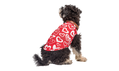 Hond draagt een rode Valentijnsdag-vest met rood en wit hart, ontworpen als een feestelijke en stijlvolle hondenoutfit.