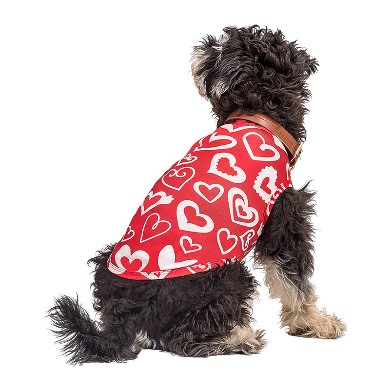 Hondenvest voor Valentijnsdag Pup Outfit Hond draagt een rode Valentijnsdag-vest met rood en wit hart, ontworpen als een feestelijke en stijlvolle hondenoutfit.