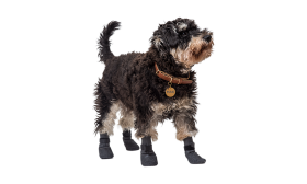 Set van vier sporthonden sokken in grijs met antislip zolen, lichtgewicht voor honden comfort, anti-slip rubber.