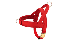 Rood hondenharnas kit met bijpassende halsband en riem, lichtgewicht, met gouden metalen gespen en D-ring.