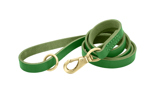 Groen luxe echt leren hondenriem, 150 cm, comfortabel, met gouden metalen haak en ring voor duurzaamheid.