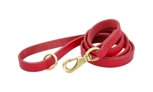 Rood luxe echt leren hondenriem, 150 cm, comfortabel, met gouden metalen haak en ring voor duurzaamheid.