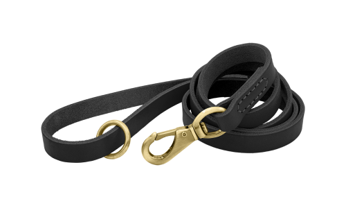 Zwart luxe echt leren hondenriem, 150 cm, comfortabel, met gouden metalen haak en ring voor duurzaamheid.