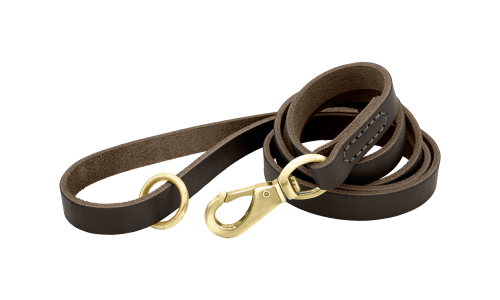 Bruin luxe echt leren hondenriem, 150 cm, comfortabel, met gouden metalen haak en ring voor duurzaamheid.