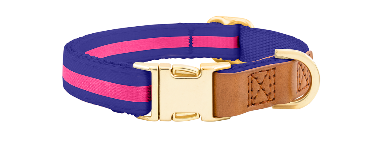 Halsband met gouden gesp Blauwe hondenhalsband met verstelbare gouden metalen gesp, 33-55cm lang, 2cm breed, met D-ring voor riem.