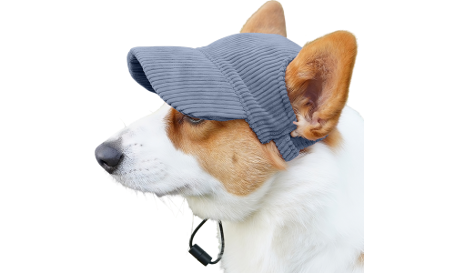 Corgi draagt een ademende blauwe honden sporthoed, lichtgewicht, ter bescherming tegen de zon tijdens uitjes.