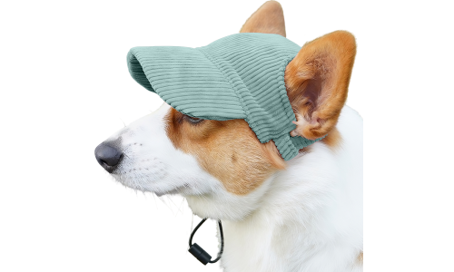 Corgi draagt een ademende groene honden sporthoed, lichtgewicht, ter bescherming tegen de zon tijdens uitjes.