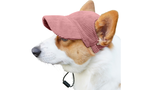 Corgi draagt een ademende lichtroze honden sporthoed, lichtgewicht, ter bescherming tegen de zon tijdens uitjes.