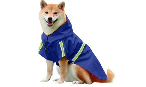 Shiba Inu in waterdichte blauwe regenjas met reflecterende strips, gemakkelijk aan te trekken, voor regenachtige wandelingen.