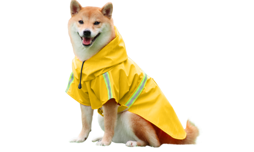 Shiba Inu in waterdichte gele regenjas met reflecterende strips, gemakkelijk aan te trekken, makkelijk aan te trekken.