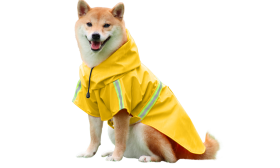 Shiba Inu in waterdichte gele regenjas met reflecterende strips, gemakkelijk aan te trekken, makkelijk aan te trekken.