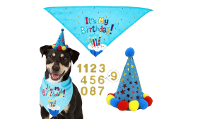 Blauwe honden verjaardagsset met kleurrijke 'It's My Birthday!' bandana, lichtgewicht voor hondencomfort.