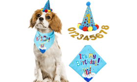 Blauwe honden verjaardagsset met kleurrijke 'It's My Birthday!' bandana, zacht en duurzaam.