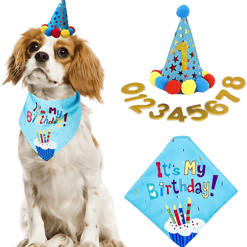 Hond Bandana Verjaardagset Blauwe honden verjaardagsset met kleurrijke 'It's My Birthday!' bandana, zacht en duurzaam.