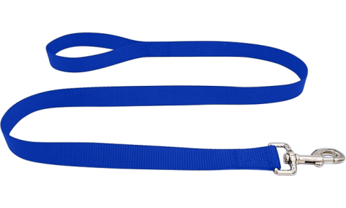 Duurzame blauwe nylon hondenriem 120 cm, makkelijk te reinigen, met comfortabel lus handvat en zilveren haak.
