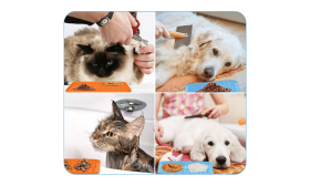 Niet-giftige Hondenlikmat met Spatel