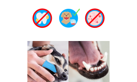 360º Siliconen Vingertandenborstel voor Honden