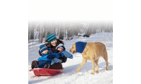 Anti-angst Hondensnood voor Bescherming Tegen Lawaai, Oren en de Winter