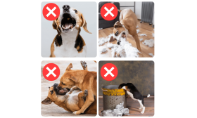 Verstelbare Reflecterende Hondensnuit - Ademend & Comfortabel