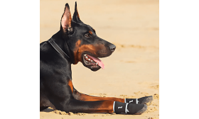 Waterdichte Hondenschoenen met 360° Reflectie & Antislip Zool – Veilige Pootbescherming voor Buiten en Wandelen