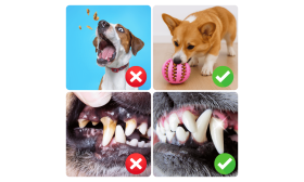 Interactieve Voerbal voor Honden – Rubberen Snackbal met Beloning