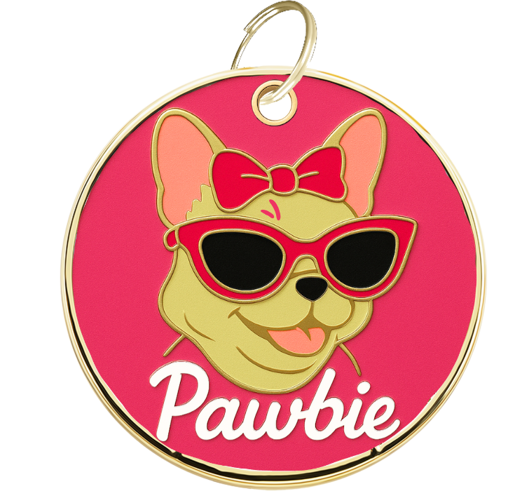 Gegraveerde Hondenpenning Pawbie