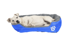 Zacht Hondenbed