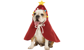 Kerst kostuum cape voor honden – Feestelijke mantel voor huisdieren