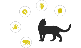 Natuurlijke vlooien- en tekenhalsband voor katten, gerichte bescherming tegen vlooien, teken, larven, luizen, muggen.