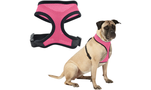 Hond draagt roze mesh hondenharnas, lichtgewicht, vastgemaakt aan een riem, toont harnas pasvorm en comfort.