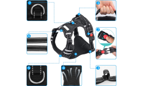 Detail van no-pull hondenharnas, kleine maat, toont duurzame gespen, reflecterende stiksels en ademend mesh.