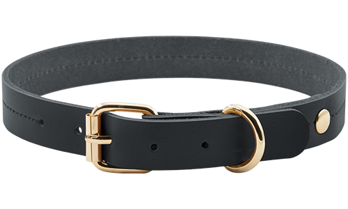 Luxe hondenhalsband van echt leer in zwart/tan, 27-34 cm lang, 2.2 cm breed, met gouden gesp en D-ring voor duurzaamheid.